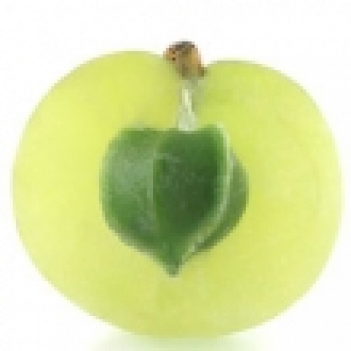 AMLA OIL