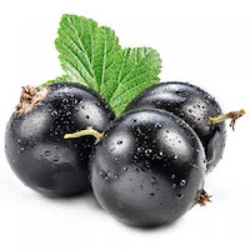 BLACKCURRANT BUD (CASSIS) ABSOLUTE