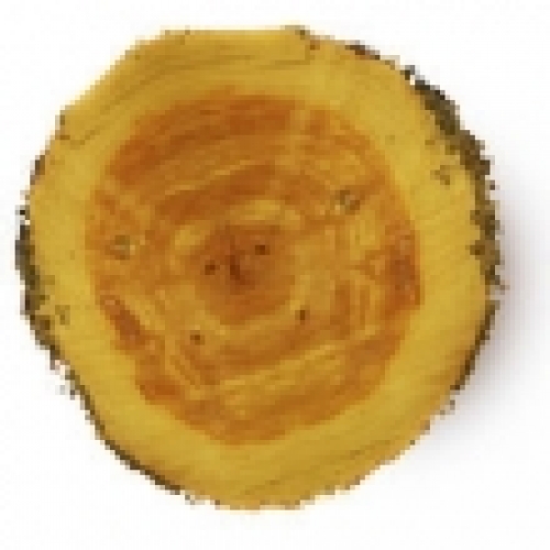 CEDARWOOD ATLAS OIL