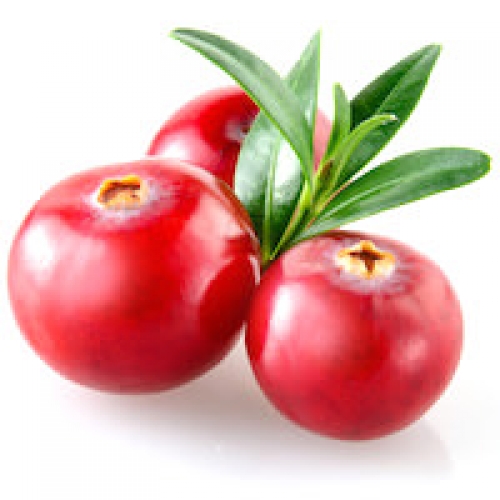 CRANBERRY SEED OIL