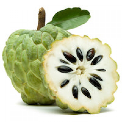 CUSTARD APPLE SEED OIL
