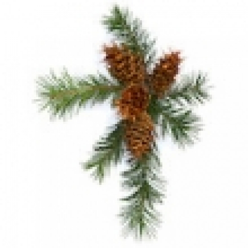 DOUGLAS FIR NEEDLE OIL