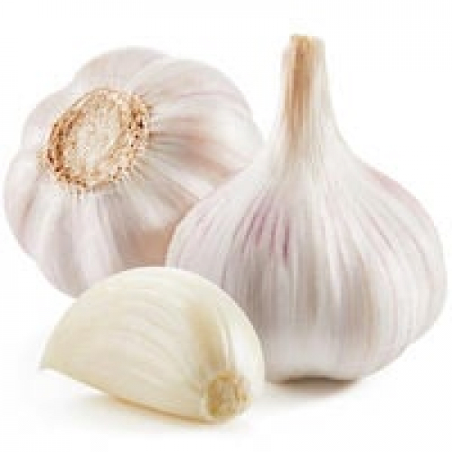 GARLIC OIL