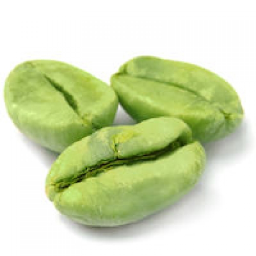 GREEN COFFEE BEAN OIL