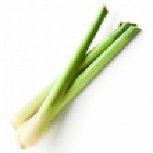 JAMAROSA OIL