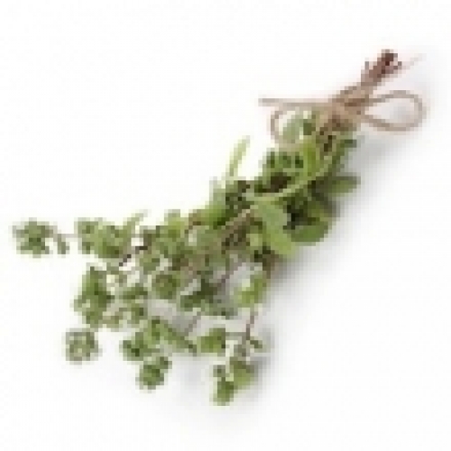 MARJORAM SPANISH OIL