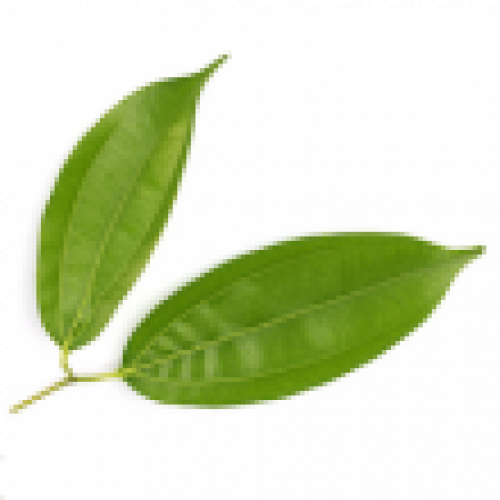PERU BALSAM OIL