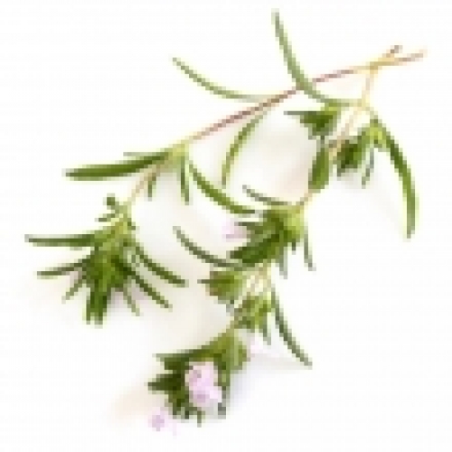 SAVORY SUMMER (HORTENSIS) OIL