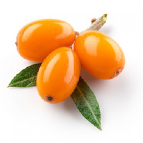 SEABUCKTHORN SEED OIL