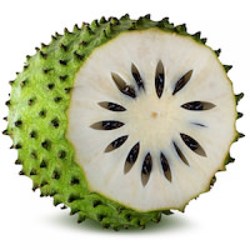 SOURSOP (GRAVIOLA) OIL