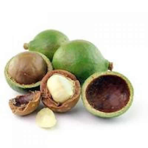 TAMANU (FORAHA) OIL