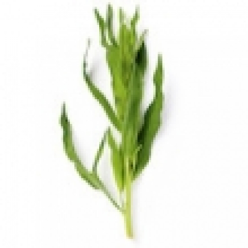 TARRAGON (ESTRAGON) OIL