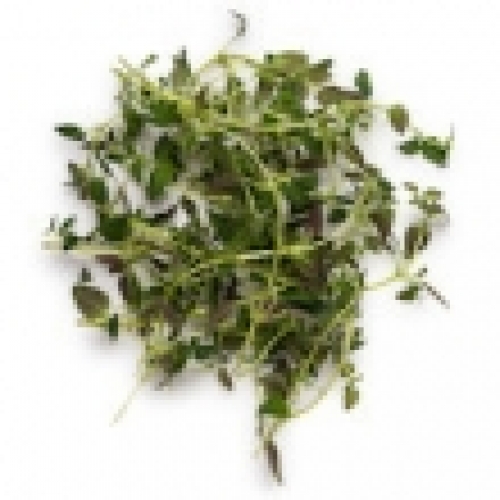 THYME OIL