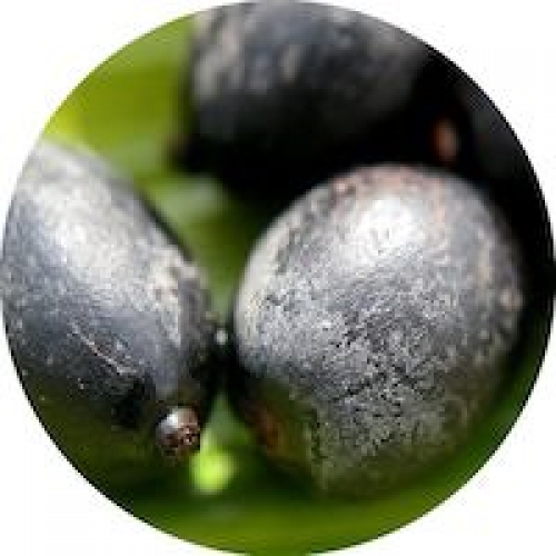 UNGURAHUI (PATAUA/SEJE) OIL