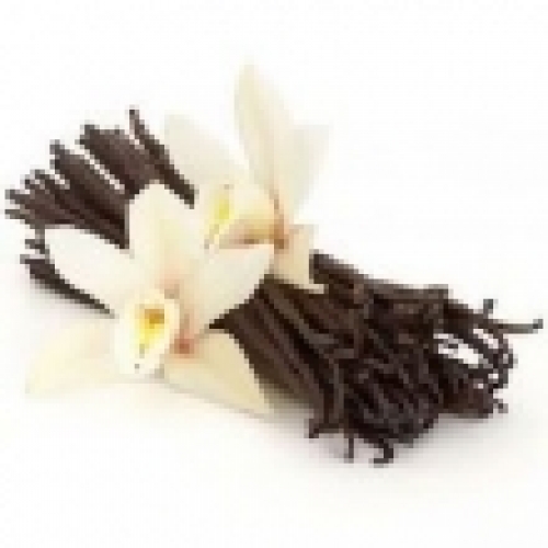VANILLA INFUSED OIL