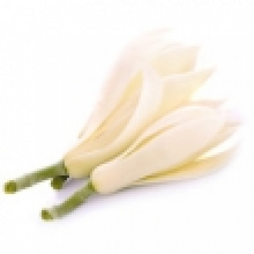 WHITE CHAMPACA (MAGNOLIA) OIL