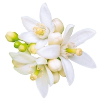 DAI DAI FLOWER ESSENTIAL OIL