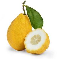 CITRON ESSENTIAL OIL