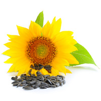 SUNFLOWER OIL (HIGH OLEIC)