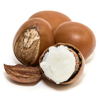 SHEA NILOTICA (EAST AFRICAN SHEA) OIL