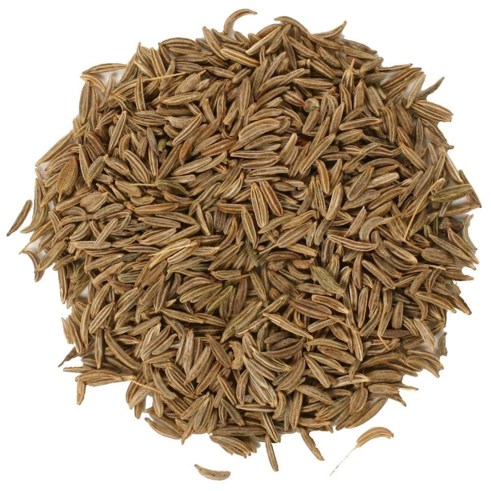 Caraway Essential Oil Carum carvi Pure Organic Bulk Wholesale