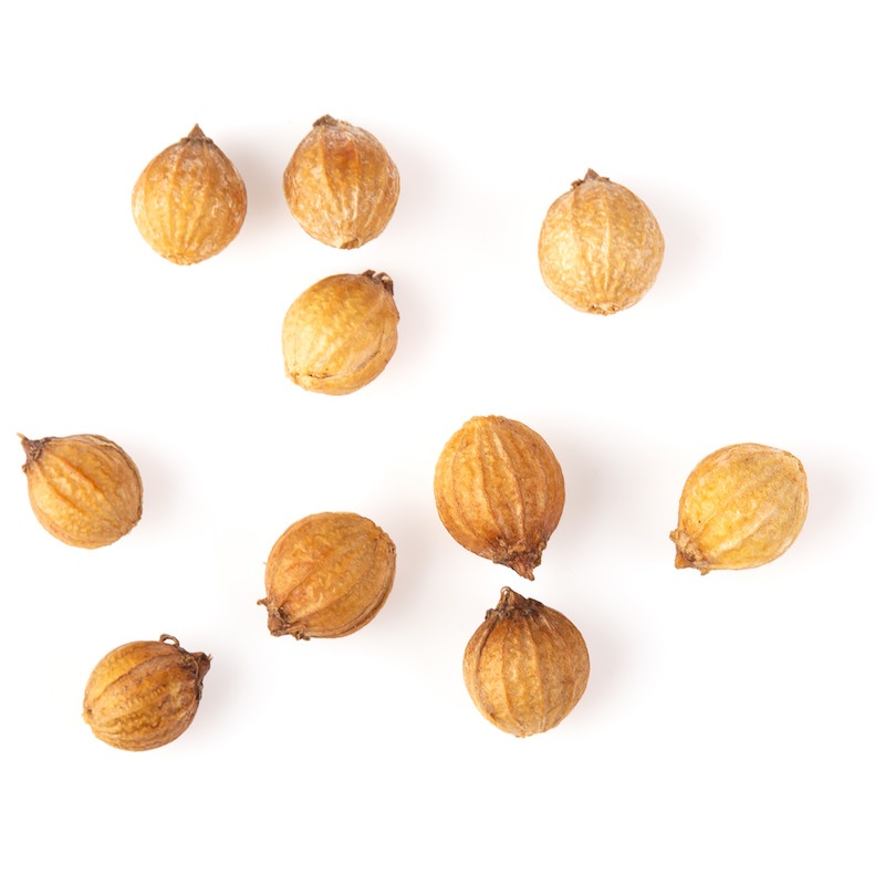 Coriander Seed Essential Oil Coriandrum sativum Pure Organic Bulk Wholesale