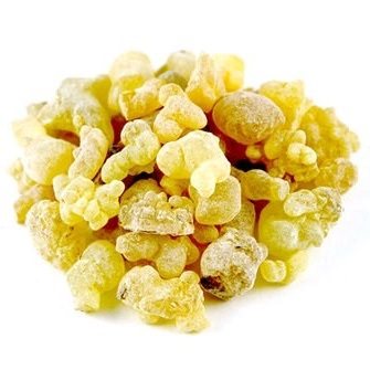 Frankincense Carterii Essential Oil