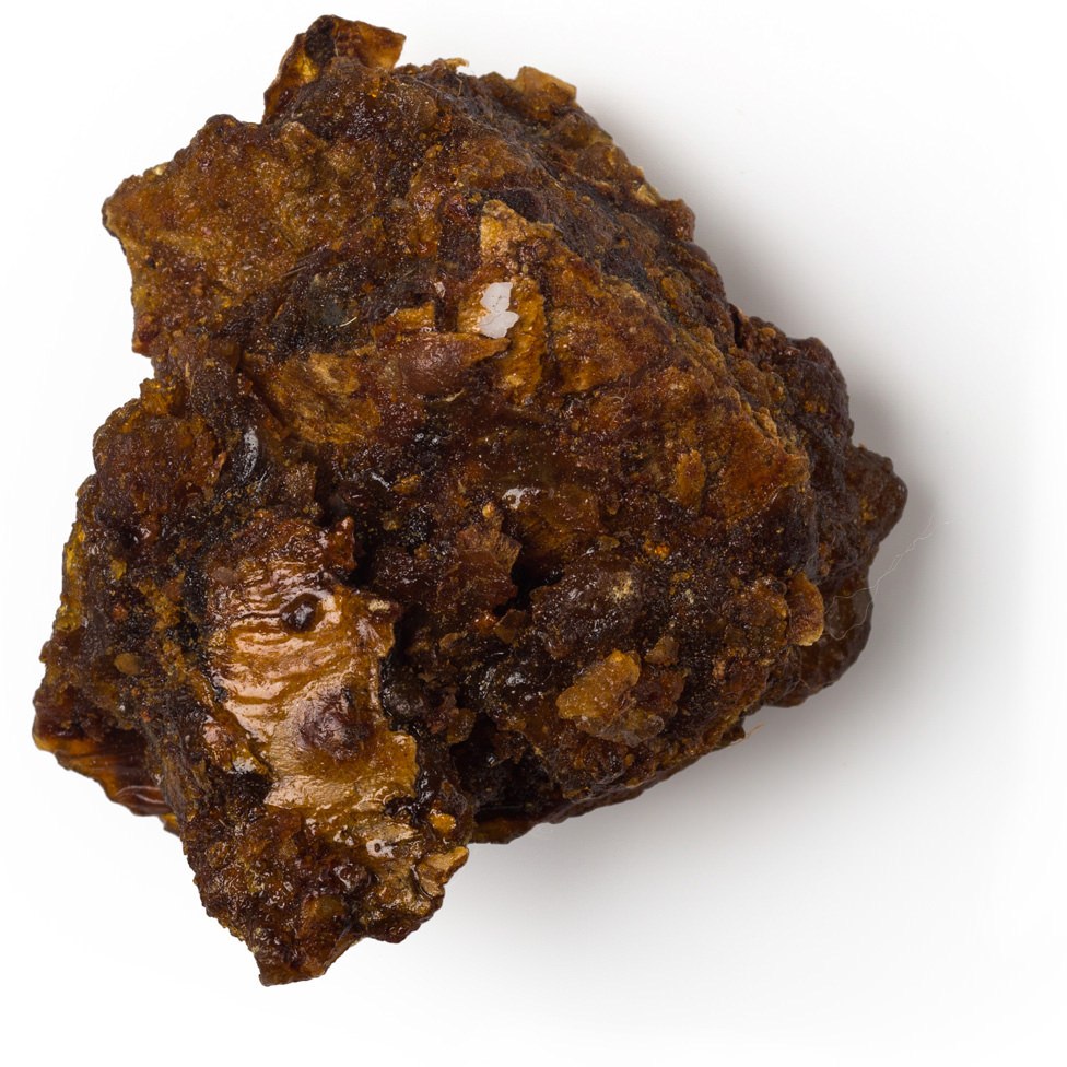Myrrh Essential Oil Commiphora myrrha Pure Organic Bulk Wholesale