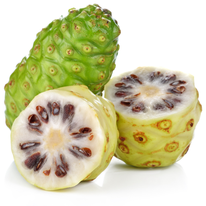 Noni Fruit Seed Oil - Morinda citrifolia