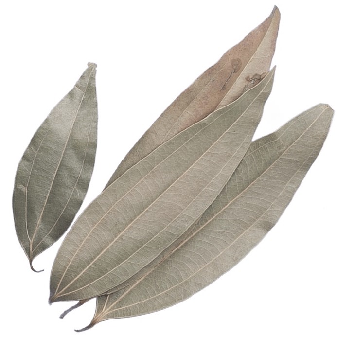 Tamala (Indian Bay Leaf) Essential Oil Cinnamomum tamala Pure Organic Bulk Wholesale