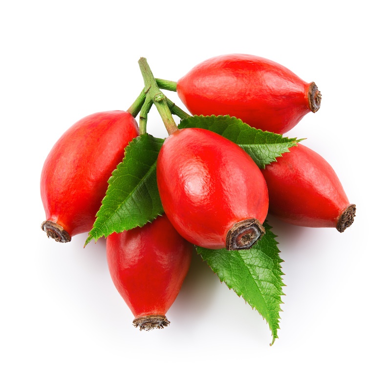 Rosehip Rose Hip Oil Organic - Rosa rubiginosa eglanteria