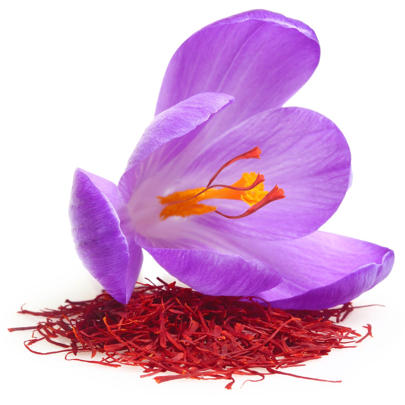 Saffron Kesar Oil Crocus sativus