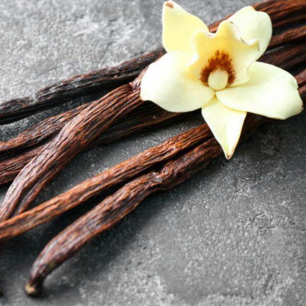 Vanilla Fragrance Oil - Natural Fragrance Oil