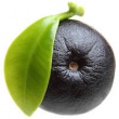 Acai Berry Oil Organic - Euterpe Oleracea FruitÂ Oil Brazil